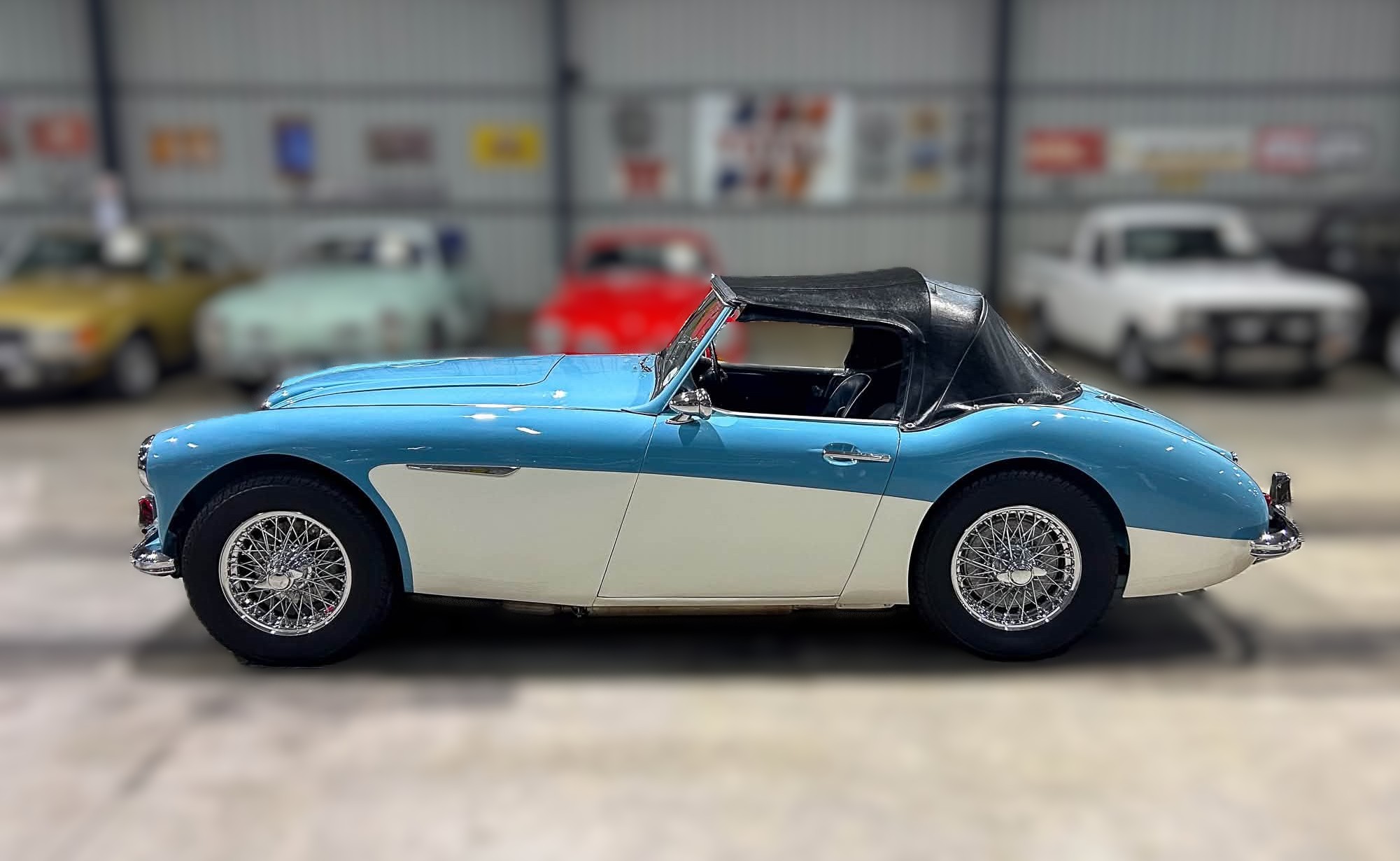 Austin-Healey