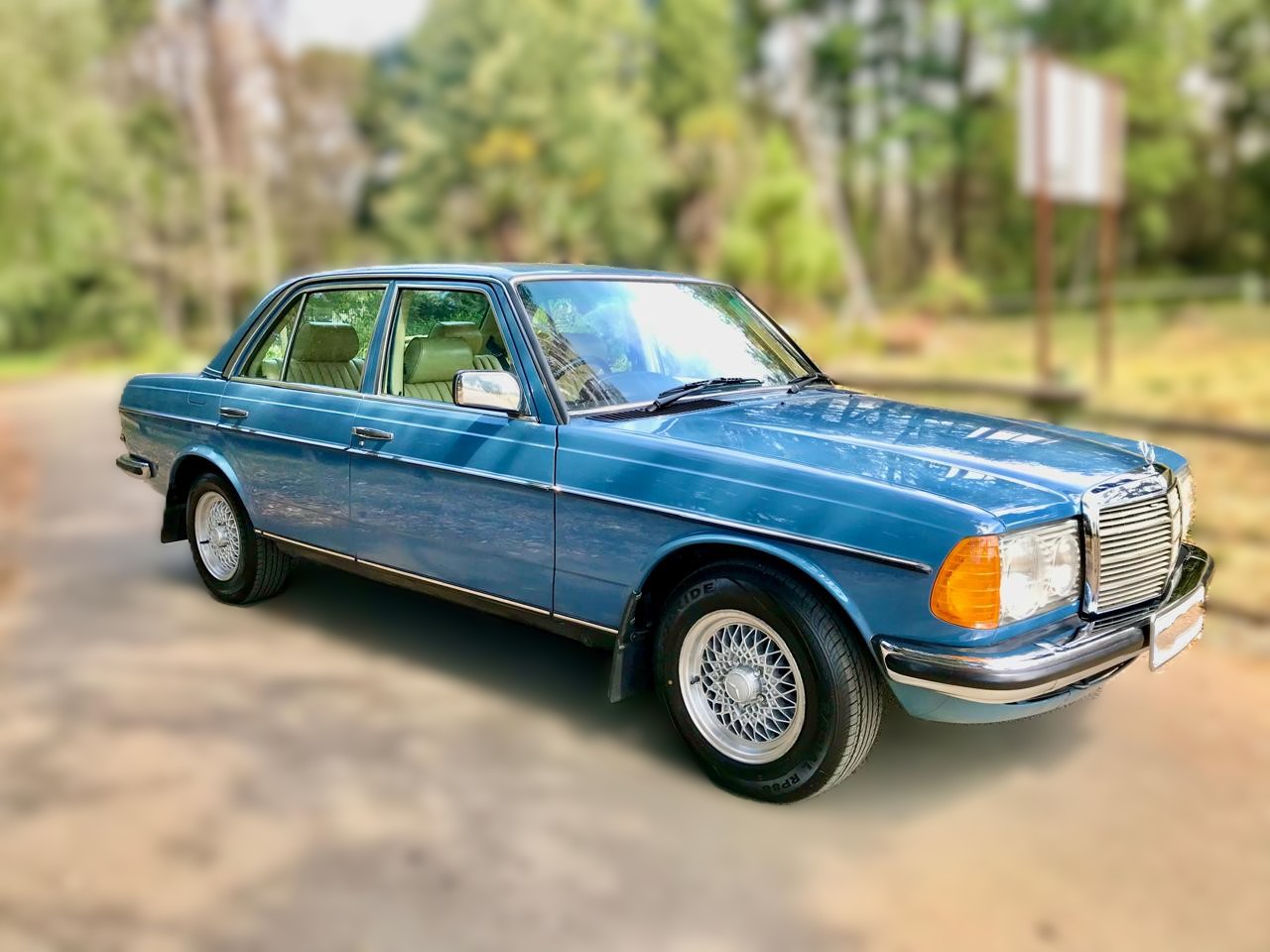 Mercedes Benz